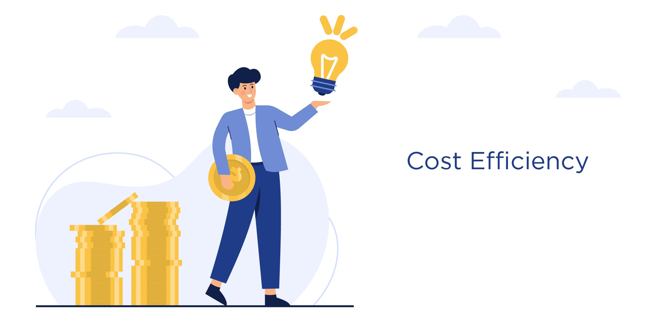 Cost Efficiency