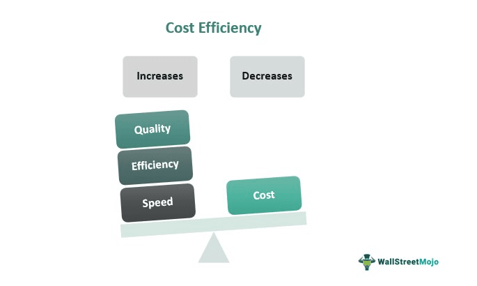 Cost Efficiency